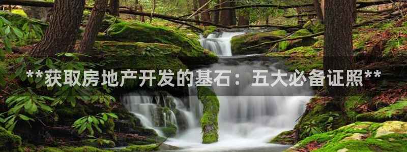 万向娱乐下载