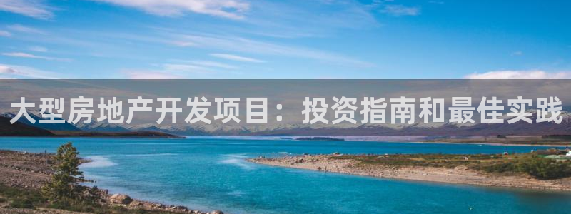 万向娱乐挂机软件