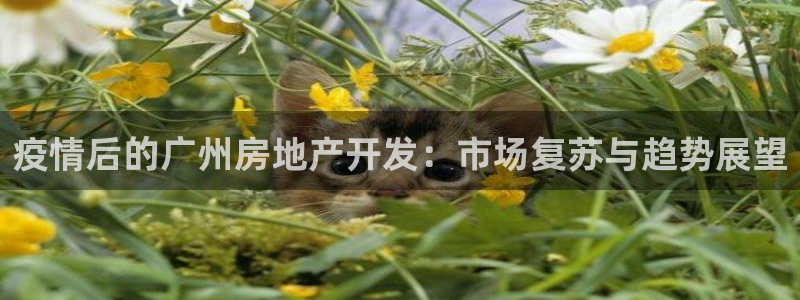 万向娱乐登陆官网入口