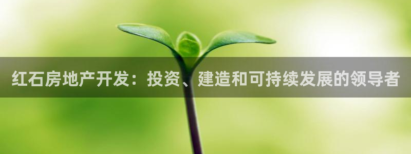 万向娱乐平台代理怎么样