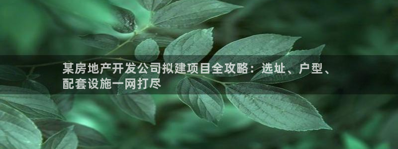 万向娱乐网址是什么