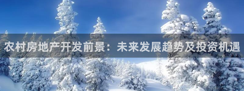 万向娱乐技术