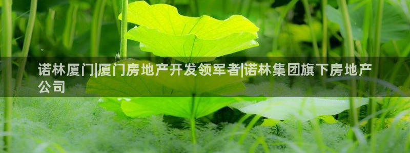 万向娱乐平台注册条件要求
