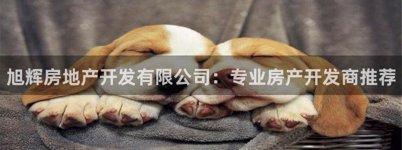 万向娱乐平台注册流程视频