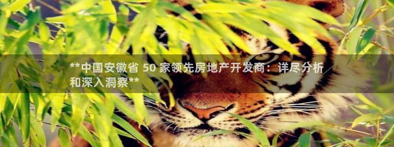 万向娱乐老板
