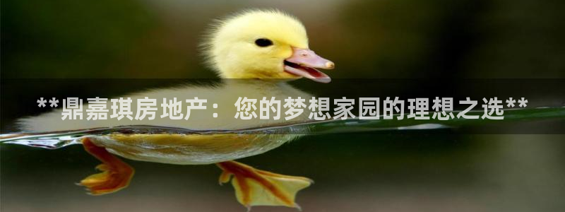 万向娱乐平台注册地址