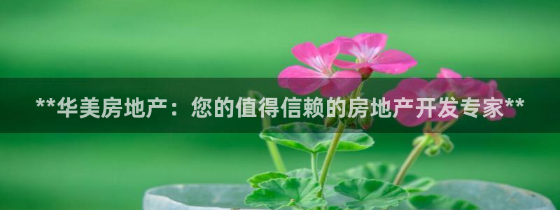 万向娱乐平台代理怎么样