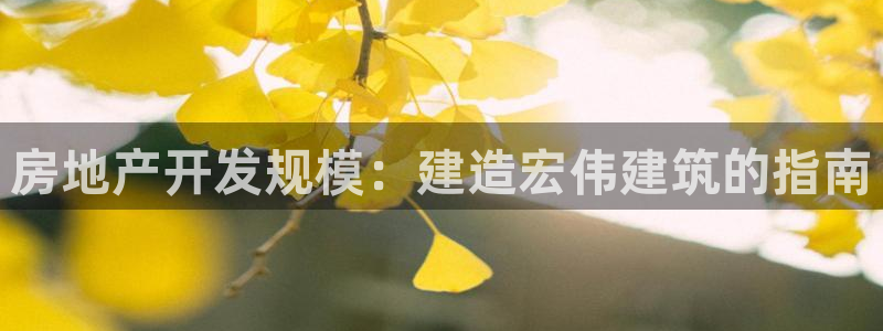 万向娱乐公司 585.34I 娱乐