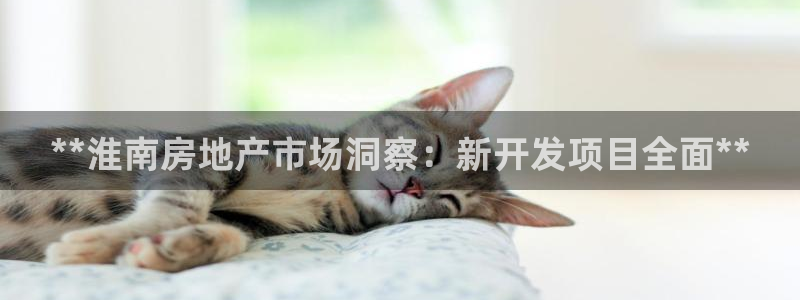 万向娱乐平台代理怎么样啊