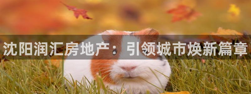 万向娱乐是哪个旗下