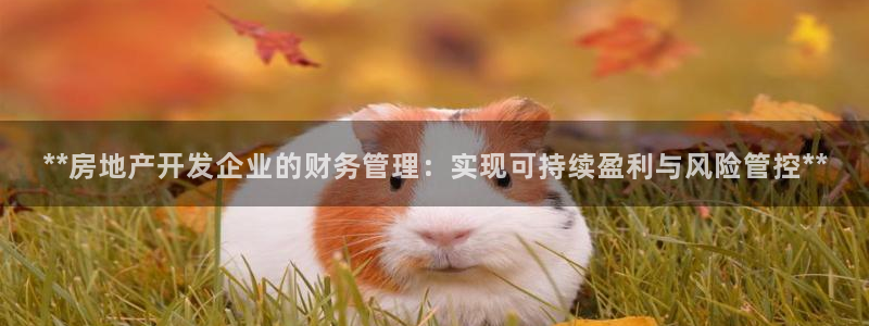 万向娱乐注册资金多少亿