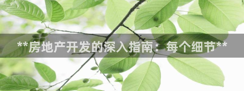 万向娱乐官网网址是多少