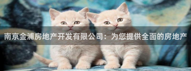 万向娱乐下载