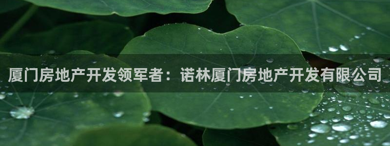 万向娱乐是哪个旗下