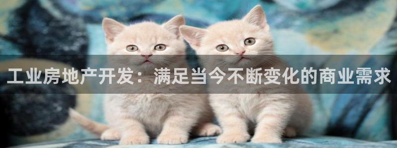 万向娱乐注册登录不了账号