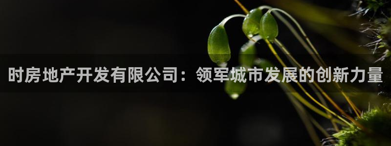 万向娱乐王者荣耀