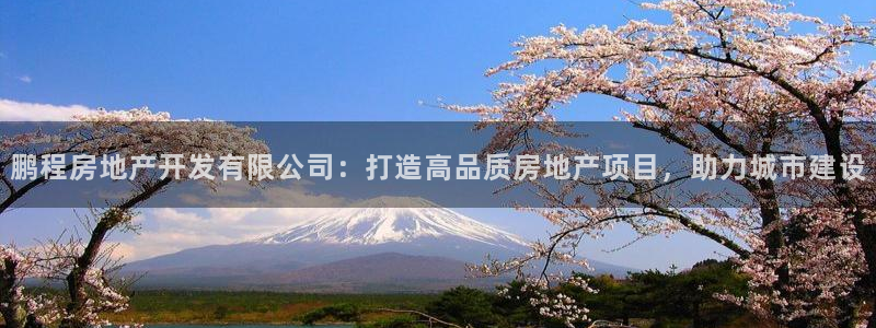 万向娱乐注册主管