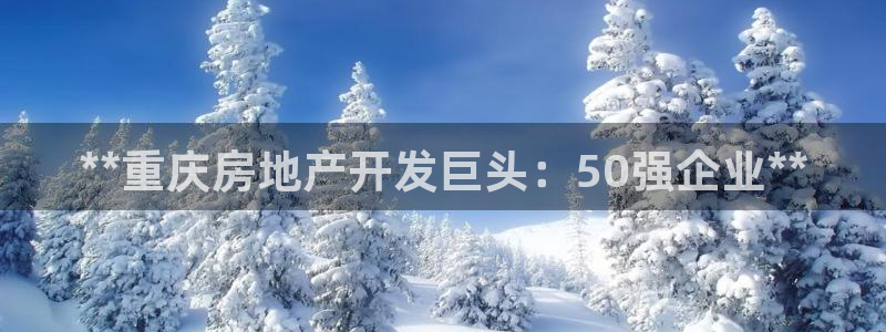 万向娱乐注册主管
