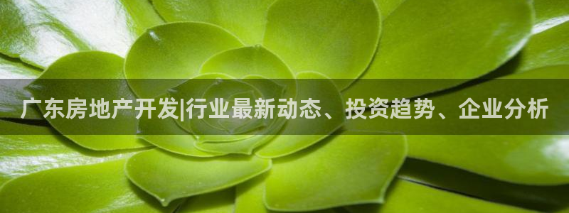万向娱乐挂机软件