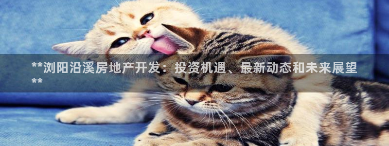 万向娱乐平台代理怎么做