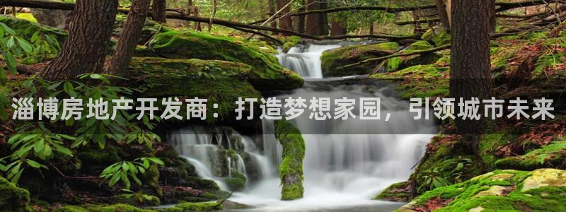 万向娱乐是野鸡台吗