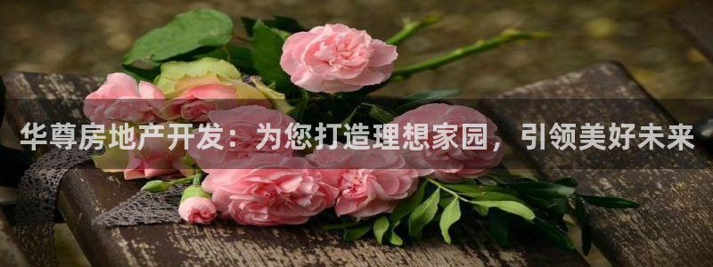 万向娱乐登陆官网入口