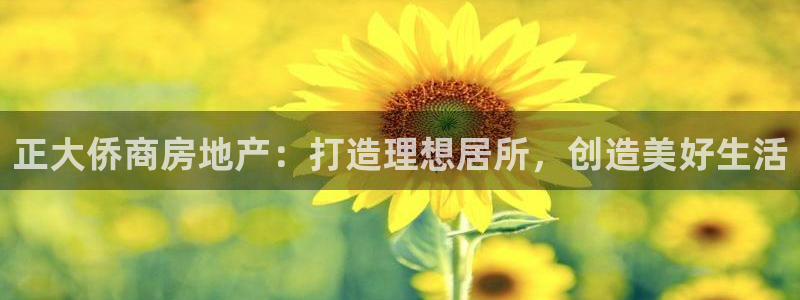 万向娱乐平台注册流程图