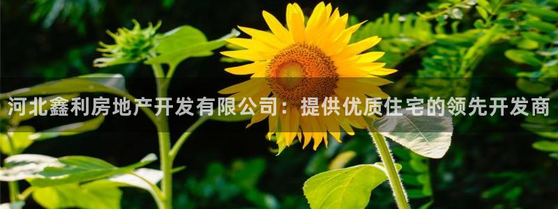 万向娱乐app下载