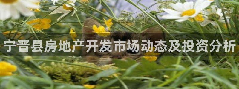 万向娱乐app下载安装