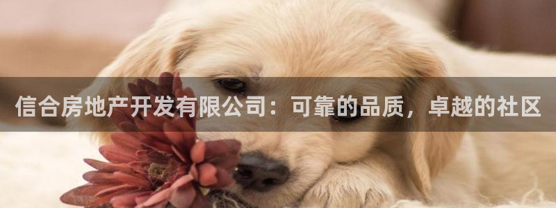 万向娱乐平台注册地址在哪里