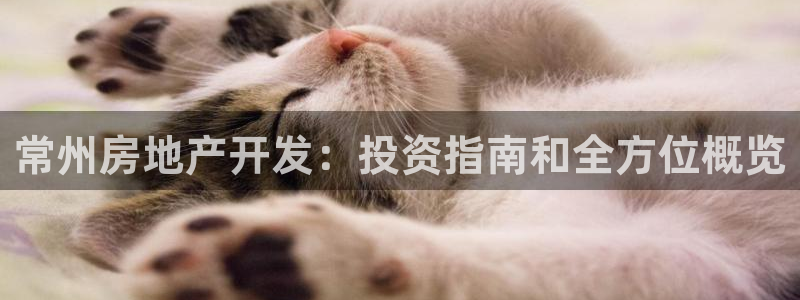 万向娱乐平台代理多少钱