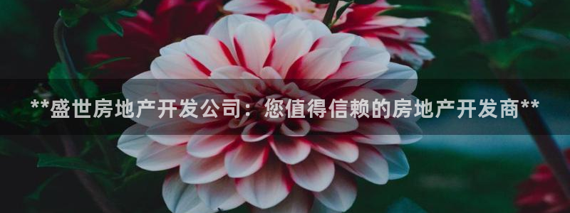 万向娱乐平台代理多少钱一个月