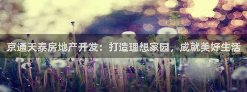 万向娱乐平台代理多少钱一年