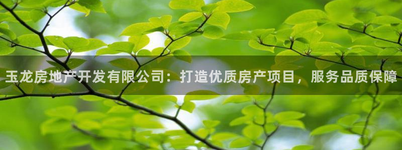 万象游戏代理